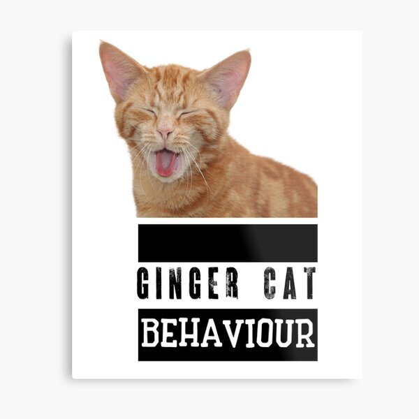 Item preview, Ginger Cat Behaviour, Gift for Cat Lovers designed and sold by FunkyCatDesign.