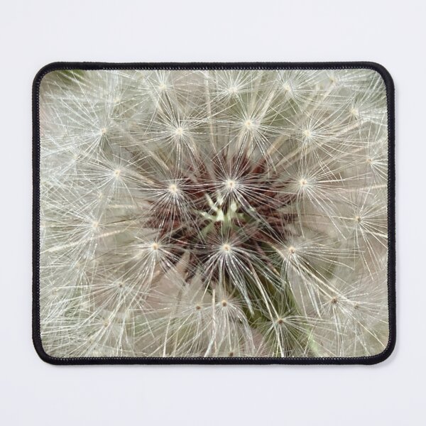 Item preview, Fragile Wonder designed and sold by Betsy Phillips.