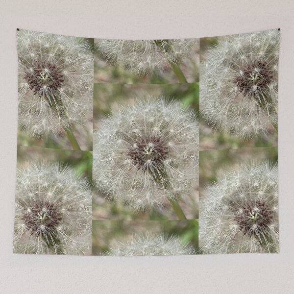 Item preview, Fragile Wonder designed and sold by Betsy Phillips.