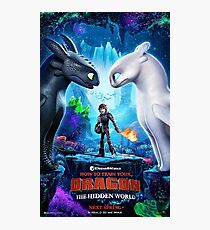 httyd 3 poster Photographic Print