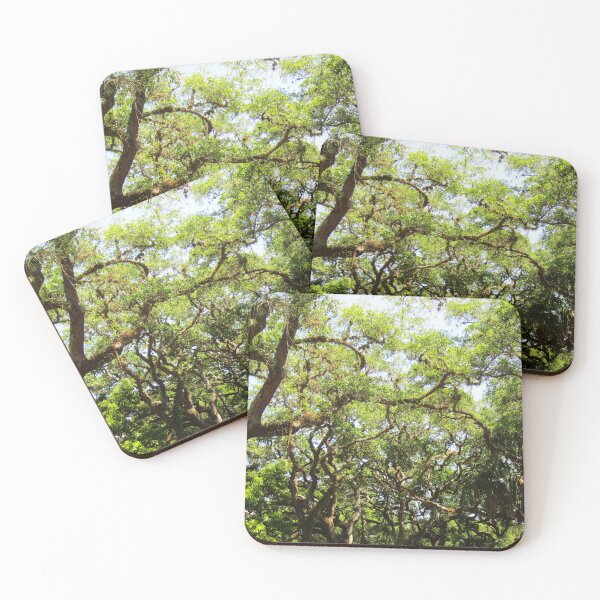 Item preview, A Vivid and Varied Tree Canopy in Southern Florida designed and sold by CuteAnimalz247.