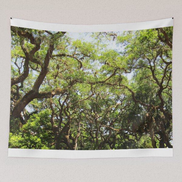 Item preview, A Vivid and Varied Tree Canopy in Southern Florida designed and sold by CuteAnimalz247.