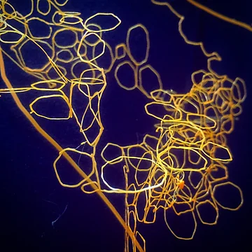 Artwork thumbnail, Voroni Abstract by GrumpyAlison