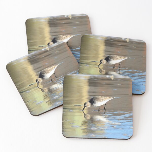 Item preview, Bird on the beach designed and sold by DameArte.