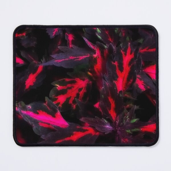 Item preview, Velvet plant designed and sold by Ruth Jolly.