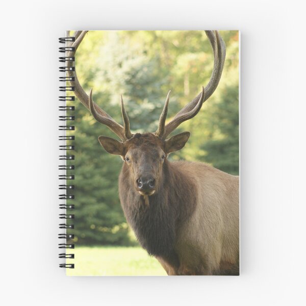Item preview, Big Bull Elk designed and sold by Windwalker-Gear.