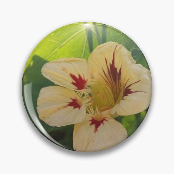 Item preview, Floral - Nasturtiums by Wagonesta  designed and sold by Wagonesta.