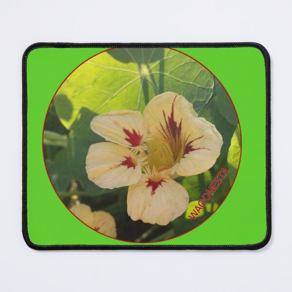 Item preview, Floral - Nasturtiums by Wagonesta designed and sold by Wagonesta.