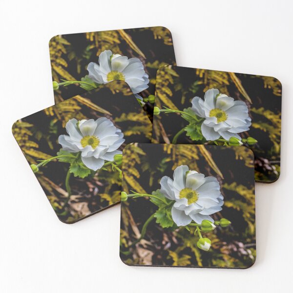 Item preview, Mt Cook Buttercup designed and sold by smarvel77.