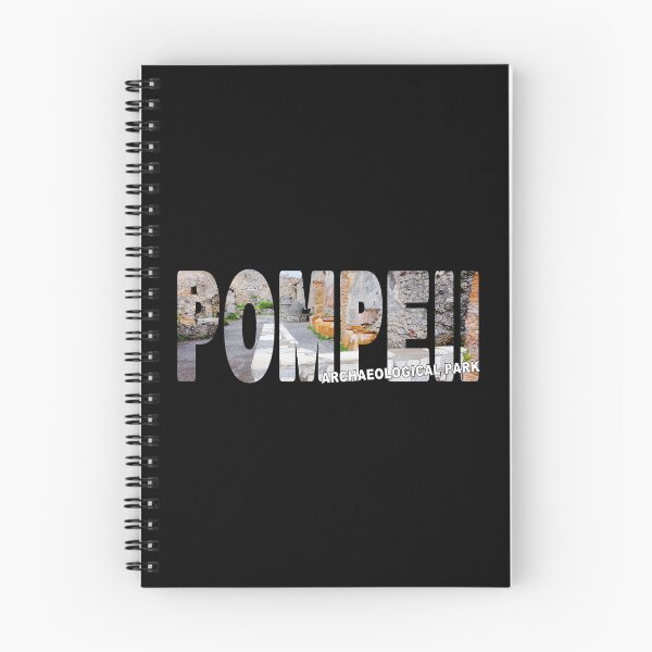 Item preview, POMPEII Archaeological Park - Italy Shop Premises Counter  designed and sold by Adam Gormley.