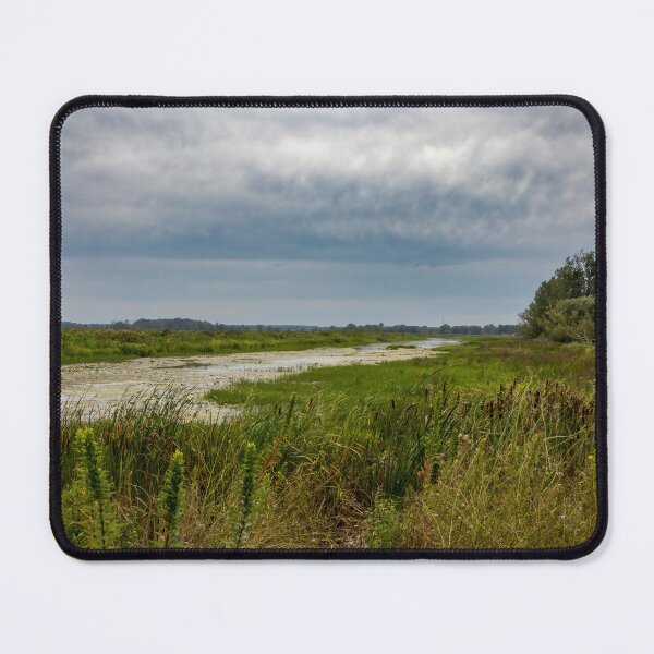Item preview, Big Creek National Wildlife Area, Ontario 1 designed and sold by jrtwynam.