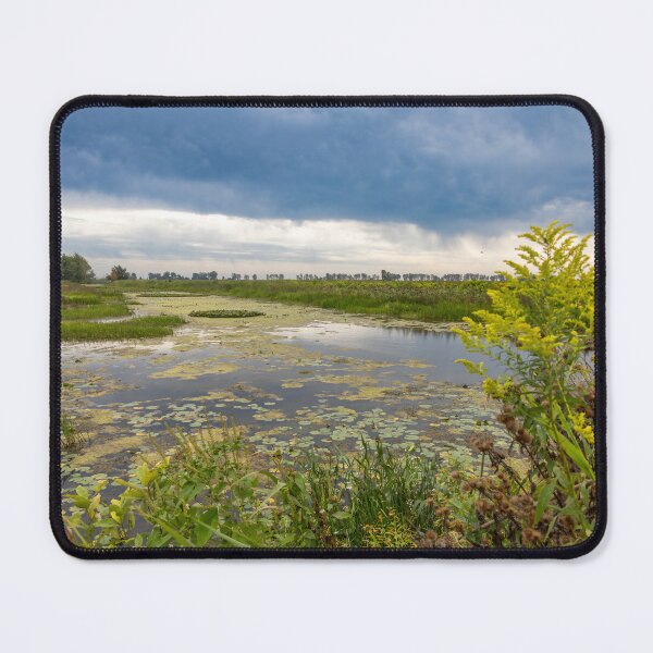 Item preview, Big Creek National Wildlife Area, Ontario 2 designed and sold by jrtwynam.