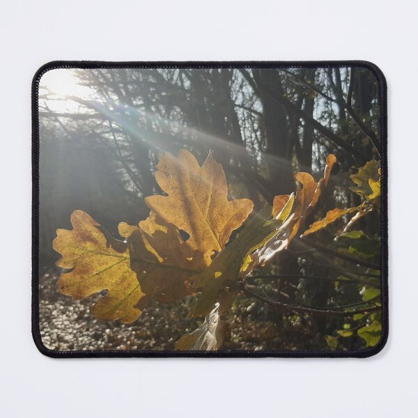 Item preview, Autumn leaves bathed in sunlight designed and sold by Emma Amies.