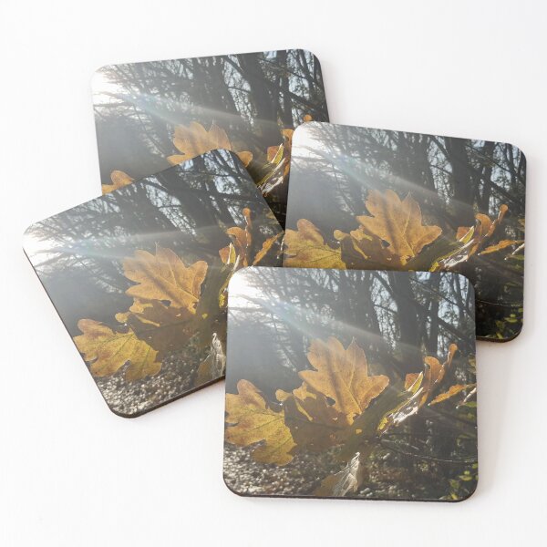 Item preview, Autumn leaves bathed in sunlight designed and sold by Emma  Amies.