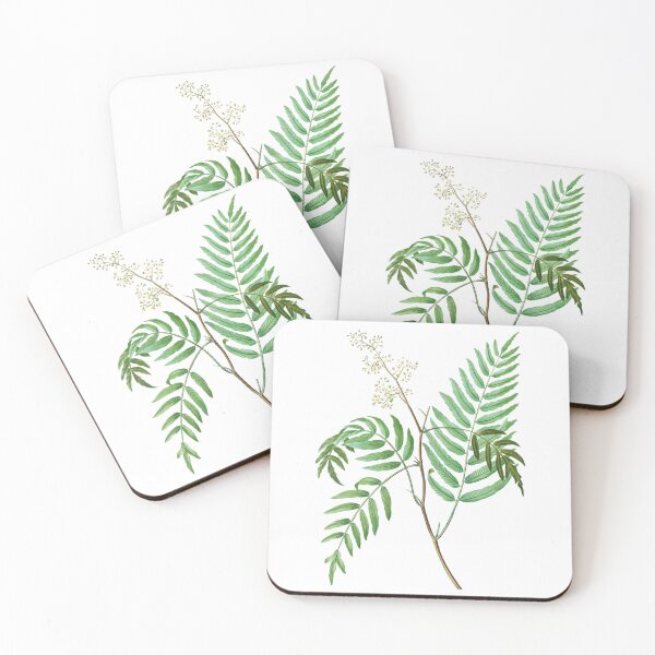 Item preview, Botanical Illustration of a Fern with Flowers designed and sold by DJ-Portable.