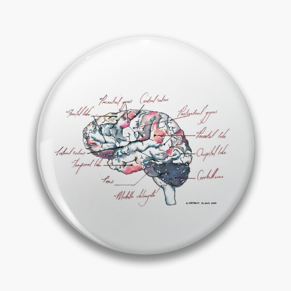Item preview, Medical Illustration of a Human Brain with Annotations designed and sold by hannooseart.