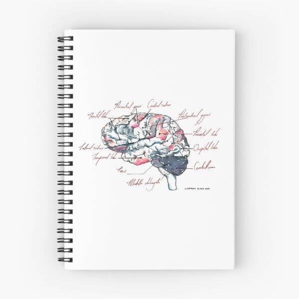 Item preview, Medical Illustration of a Human Brain with Annotations designed and sold by hannooseart.