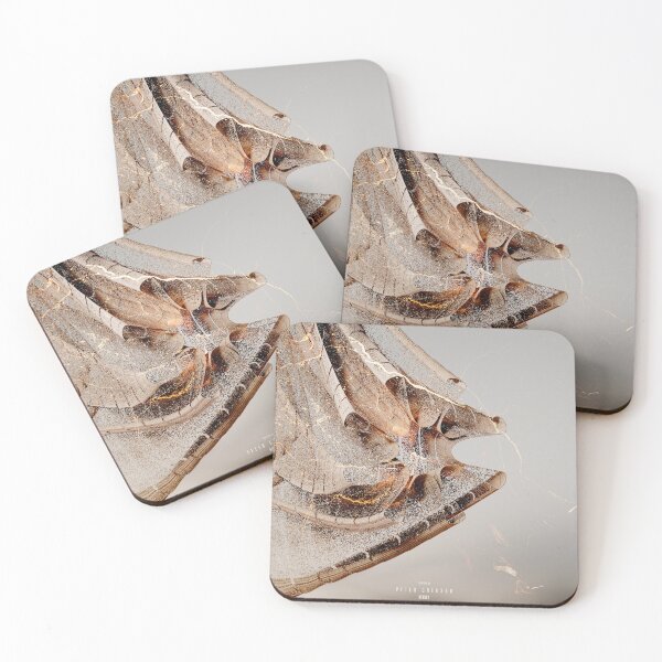 Item preview, Hidden designed and sold by mullerdesign.