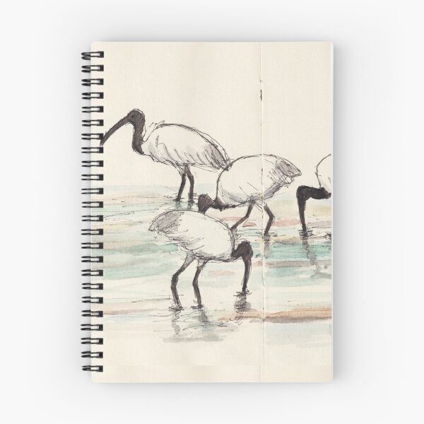 Item preview, Black headed Ibis birds designed and sold by BirdsAndBrush.