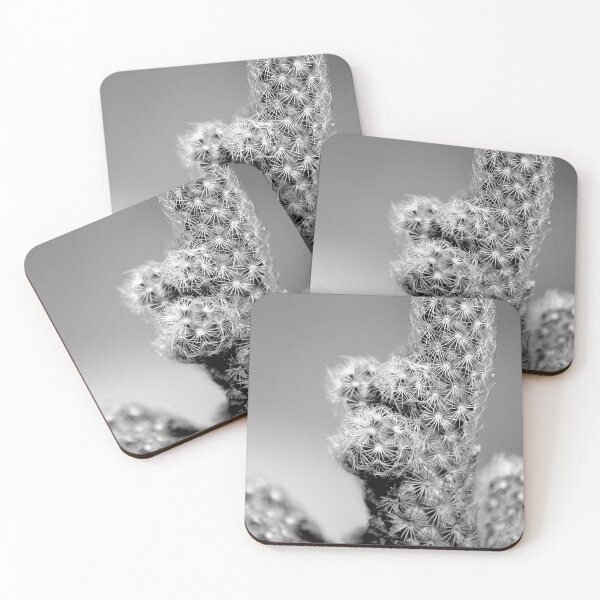 Item preview, Mammillaria elongata Cactus Black And White designed and sold by MercerImages.