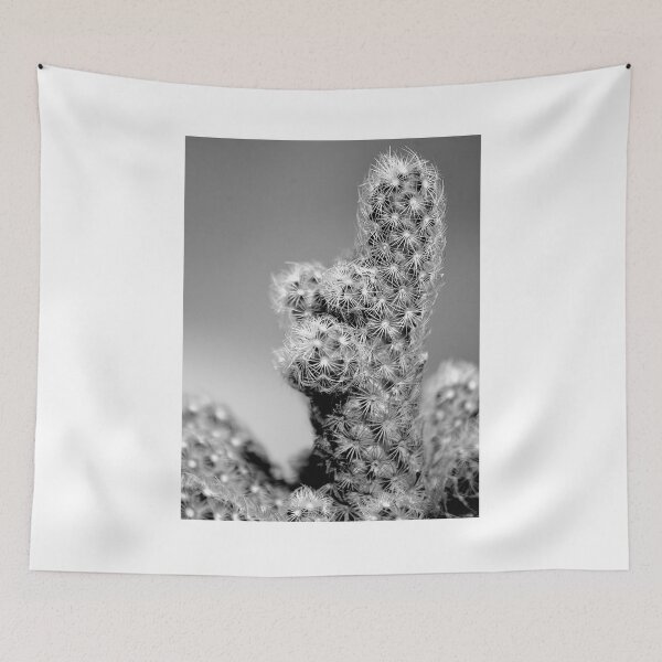 Item preview, Mammillaria elongata Cactus Black And White designed and sold by MercerImages.