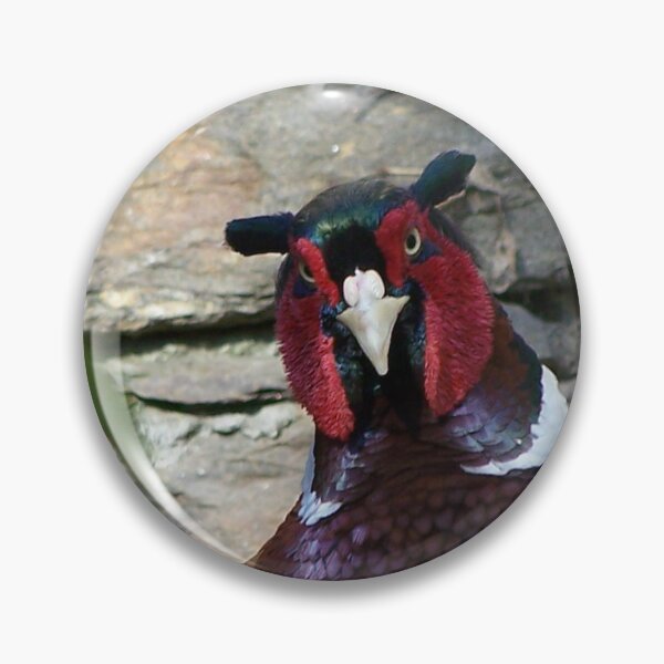 Item preview, CAPTAIN PEACOCK designed and sold by Geoffrey & Michelle Thomson.