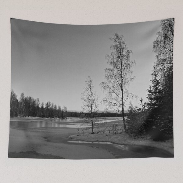 Item preview, Birches by the frozen lake 7 bw designed and sold by Jouko Lehto Photography.