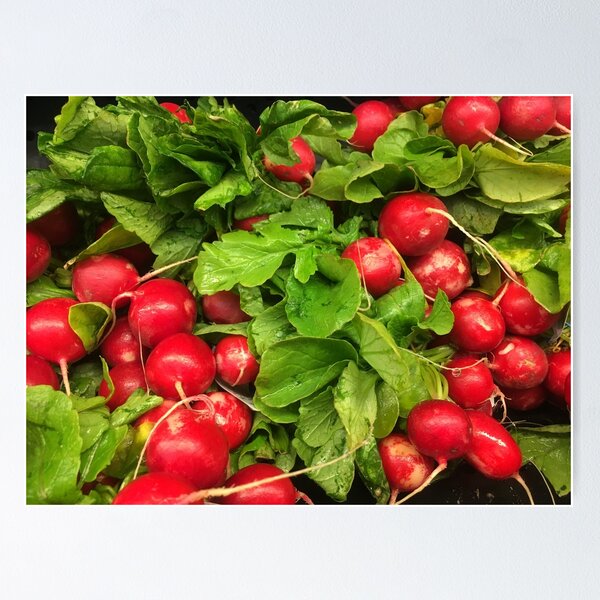 Radishes Poster