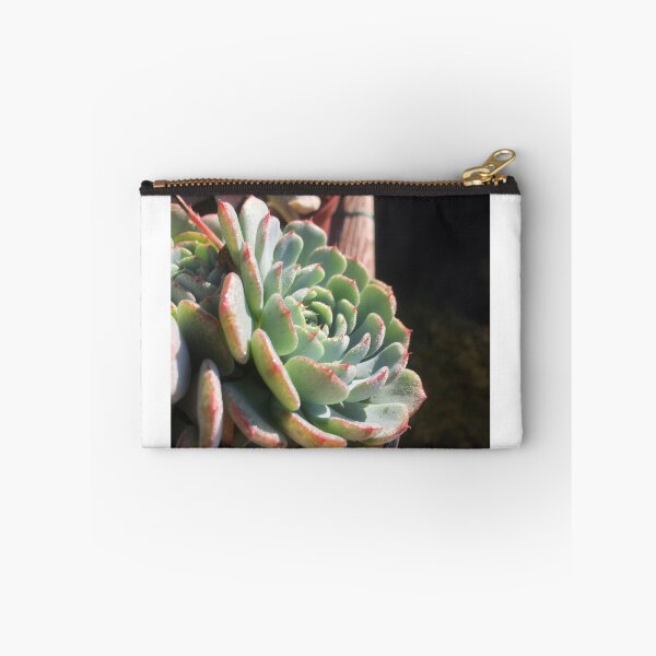 Item preview, Echeveria Minima designed and sold by GrumpyAlison.