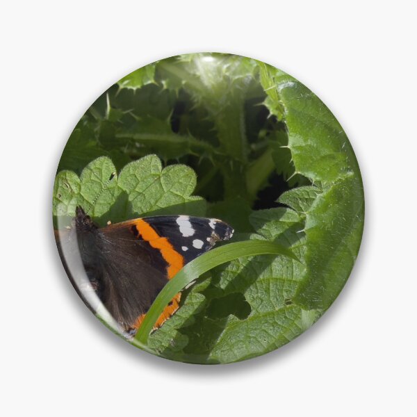 Item preview, Red Admiral Butterfly designed and sold by Graz-Photos.