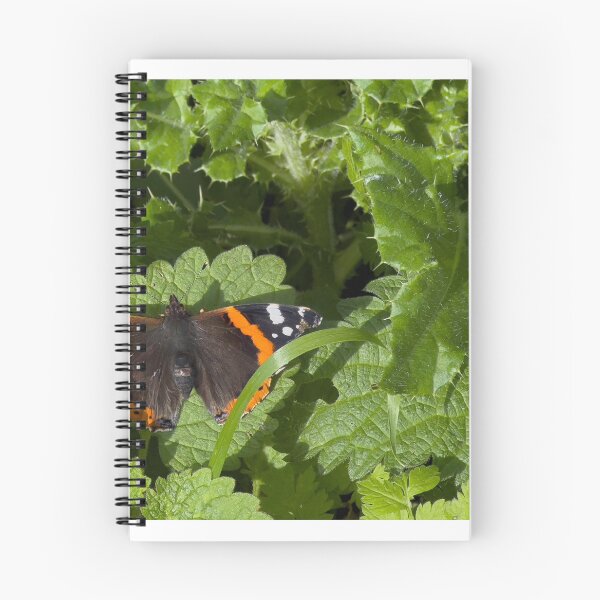 Item preview, Red Admiral Butterfly designed and sold by Graz-Photos.