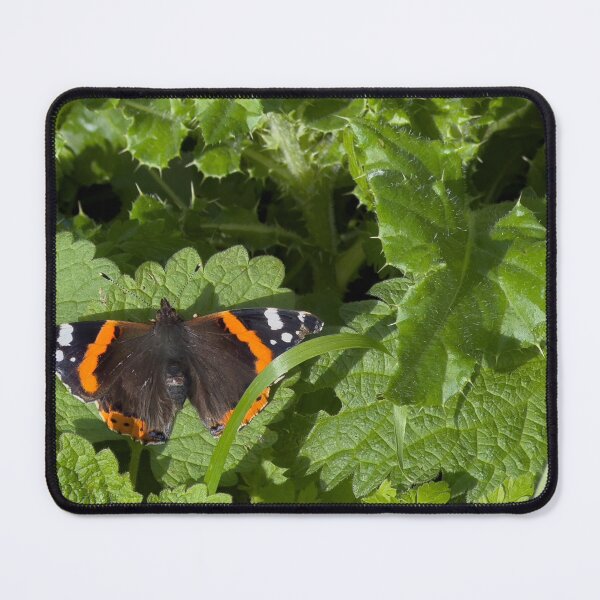 Item preview, Red Admiral Butterfly designed and sold by Graz-Photos.