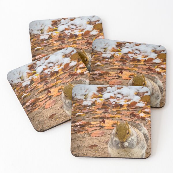 Item preview, Wintry Squirrel designed and sold by Graz-Photos.