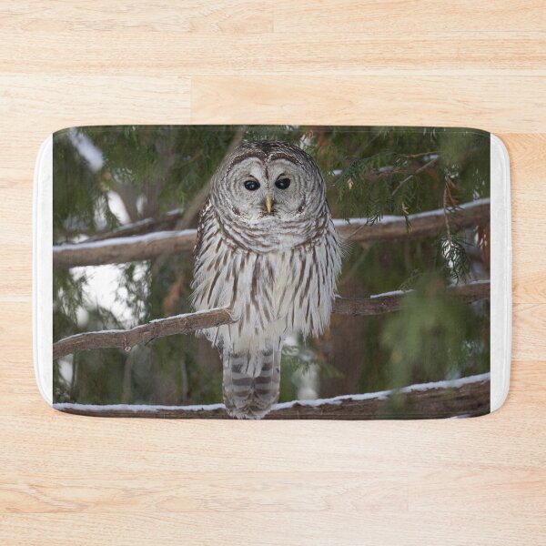 Item preview, Barred owl perched in a tree designed and sold by James Cumming.