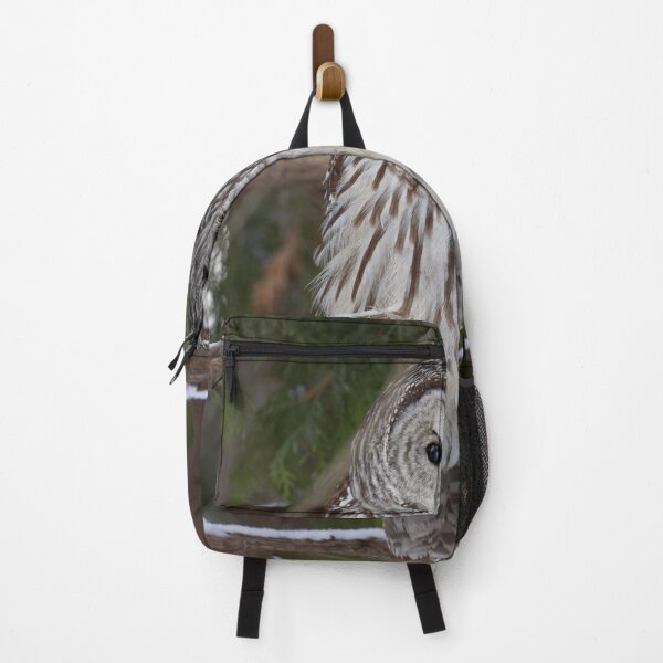 Item preview, Barred owl perched in a tree designed and sold by James Cumming.