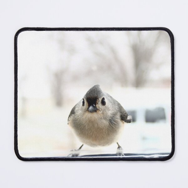 Item preview, Tufted titmouse  designed and sold by McFleur's Lens.