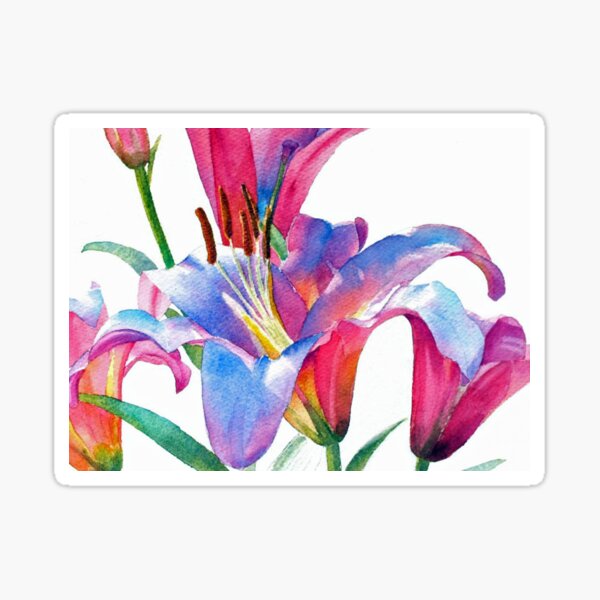 Watercolor Lilies Sticker