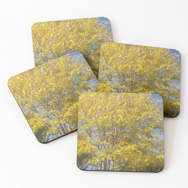 Item preview, Autumn’s Tree: A Symphony of Colors and Change designed and sold by Dab2384.