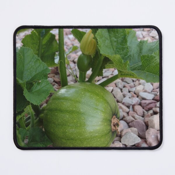 Item preview, Tiny the greenest pumpkin designed and sold by GSB Arts.