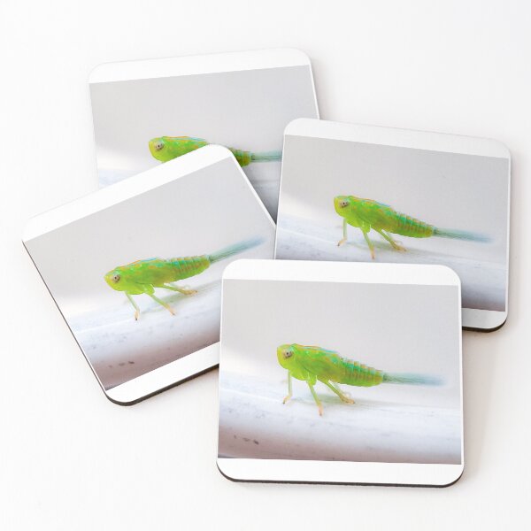 Item preview, Leaf hopper nymph  designed and sold by MyBackyardWorld.