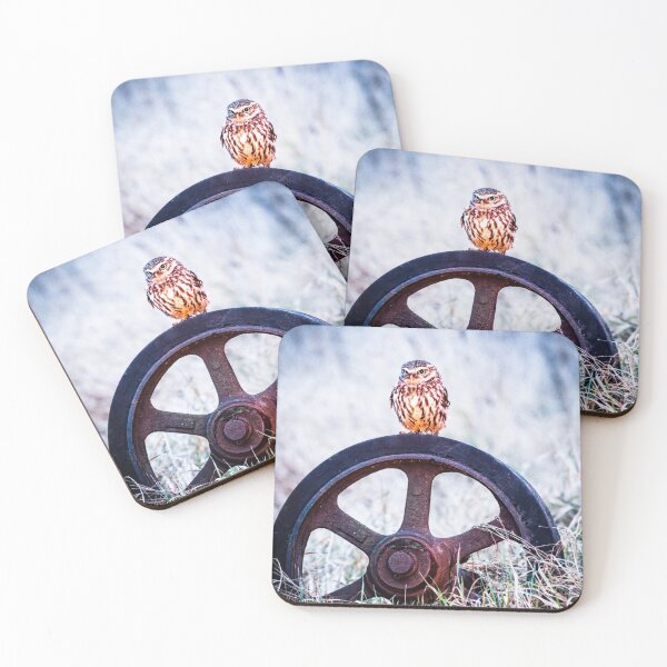 Item preview, Picture of a Little Owl perched on a Wheel   designed and sold by Grang Art Artistic Designs.