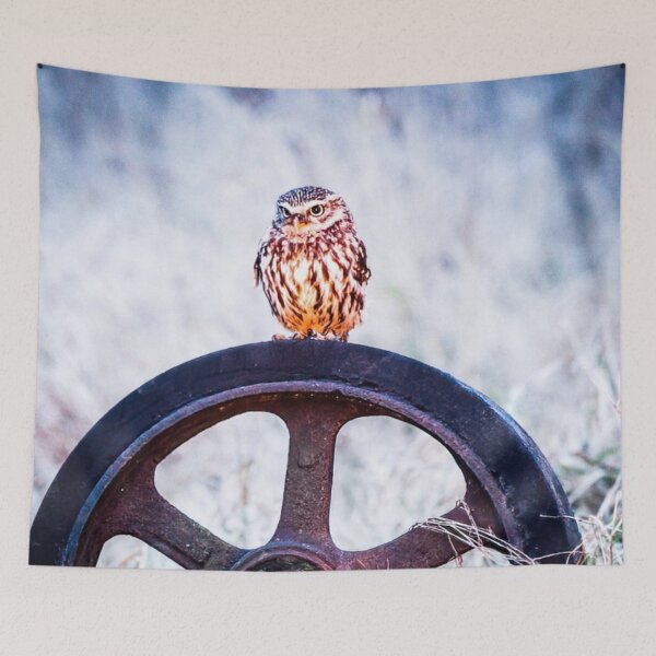 Item preview, Picture of a Little Owl perched on a Wheel   designed and sold by Grang Art Artistic Designs.