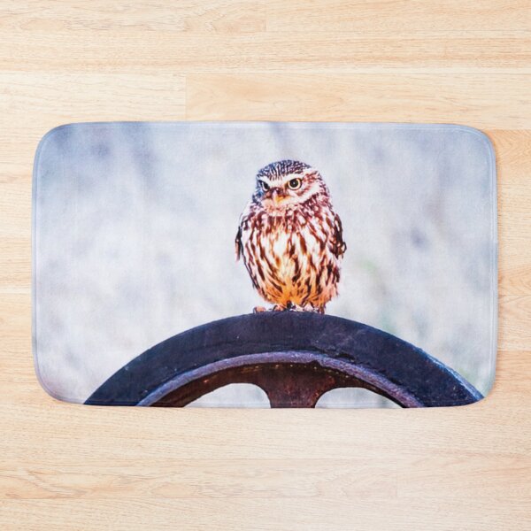 Item preview, Picture of a Little Owl perched on a Wheel   designed and sold by Grang Art Artistic Designs.