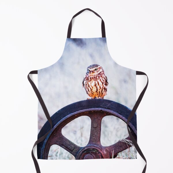 Item preview, Picture of a Little Owl perched on a Wheel designed and sold by Grang Art Artistic Designs.