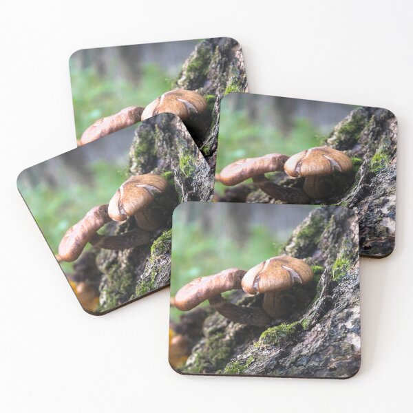Item preview, Mushrooms designed and sold by eGreenHat.
