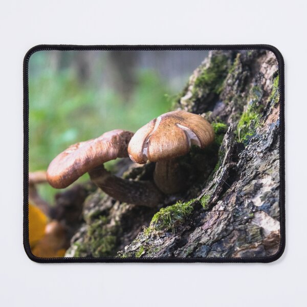 Item preview, Mushrooms designed and sold by eGreenHat.