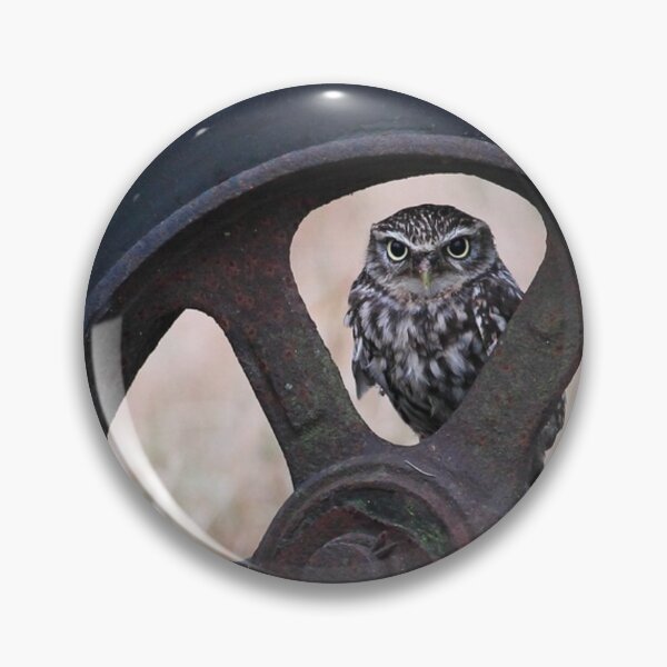 Item preview, Picture of a Little Owl perched in a Wheel with Autumn Meadow in the background. Gift for Him, Gift for Her, Gift for Child designed and sold by Camel & Quirk.