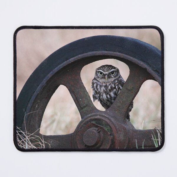 Item preview, Picture of a Little Owl perched in a Wheel with Autumn Meadow in the background. Gift for Him, Gift for Her, Gift for Child designed and sold by Grang Art Artistic Designs.
