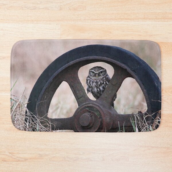 Item preview, Picture of a Little Owl perched in a Wheel with Autumn Meadow in the background. Gift for Him, Gift for Her, Gift for Child designed and sold by Grang Art Artistic Designs.