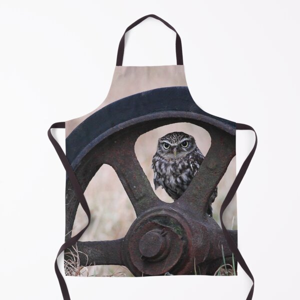 Item preview, Picture of a Little Owl perched in a Wheel with Autumn Meadow in the background. Gift for Him, Gift for Her, Gift for Child designed and sold by Grang Art Artistic Designs.